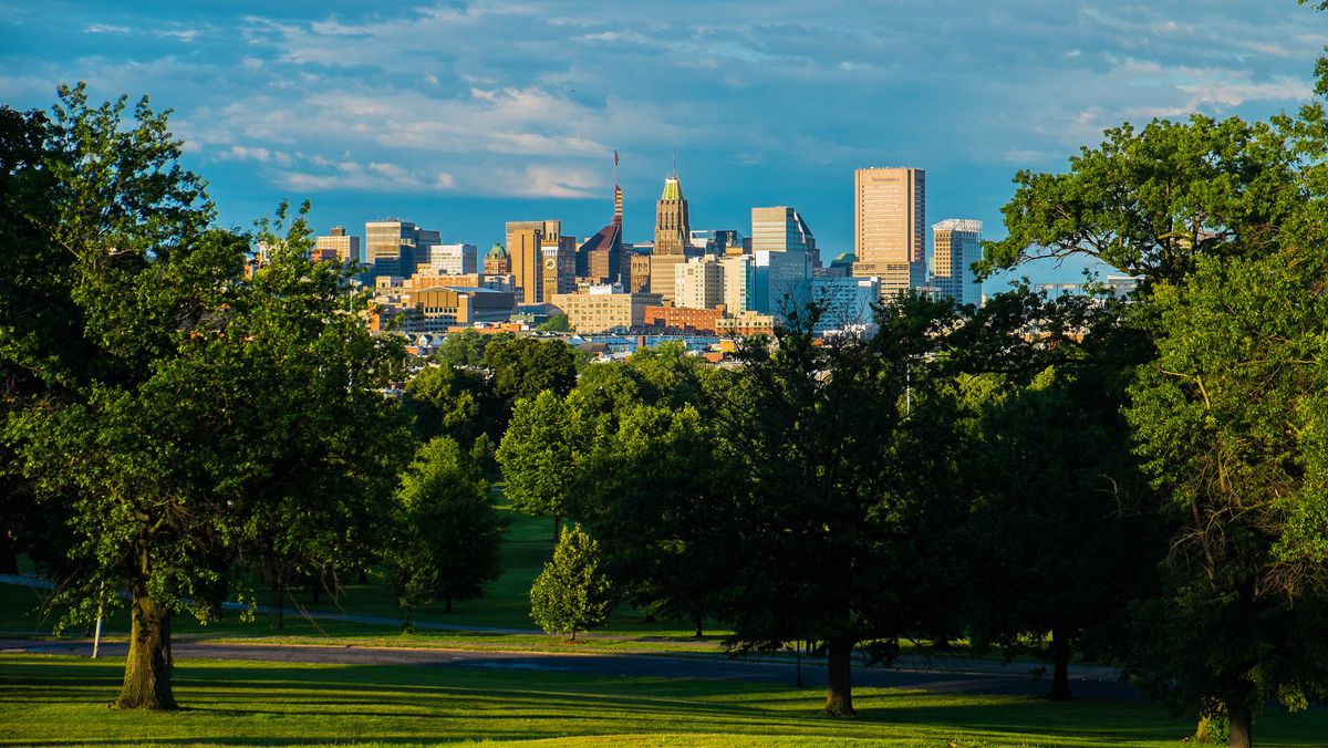 Baltimore tree service maintaining healthy urban canopy